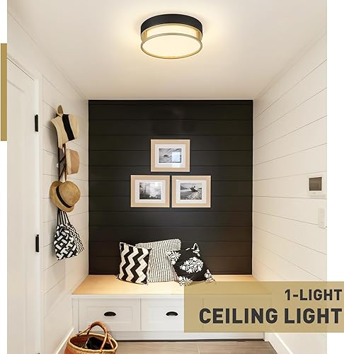 Miniatura 5 de zeyu ZS76F BK+AG - Lámpara de techo empotrada de 1 luz, moderna de 10 pulgadas, para dormitorio, pasillo, pasillo, pantalla de vidrio esmerilado