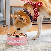 Vista 5 de Custom Personalized Dog & Cat Bowls - Stainless Steel Non-Slip Water & Food Dishes - Easy to Clean, Dishwasher Safe - Small, Medium, Large Sizes
