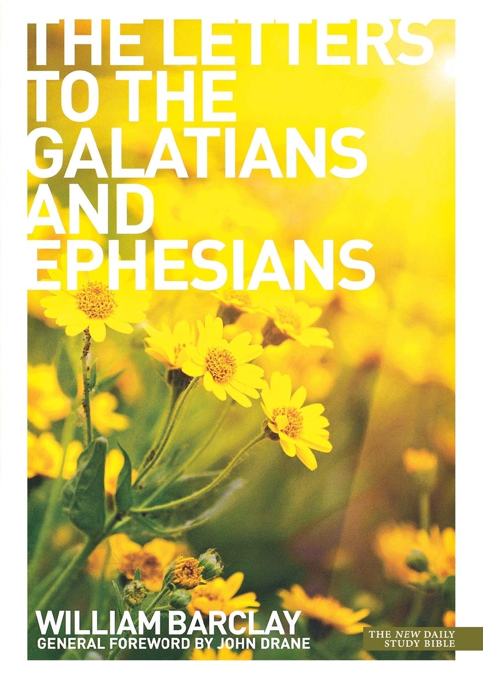 The Letters to the Galatians & Ephesians: The Letters to the Galatians and Ephesians