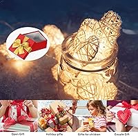 Vista 7 de BigNoseDeer Tarros de vidrio en forma de corazón de 22 onzas con tapa hermética para cocina, recipientes de almacenamiento de alimentos, contenedor