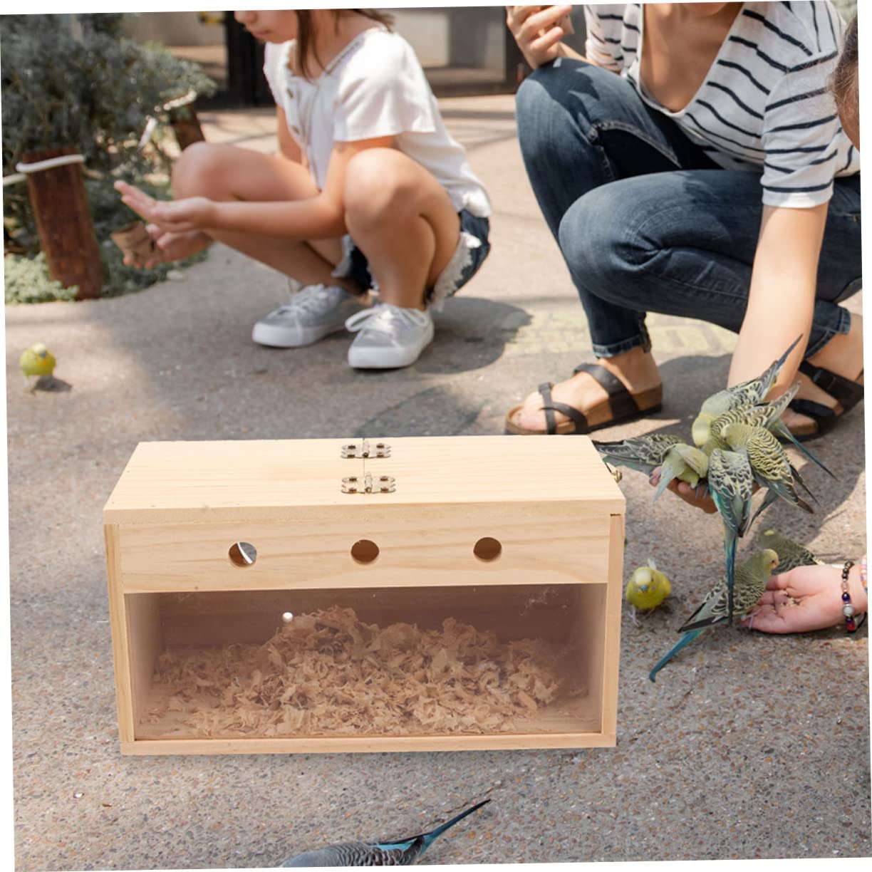 Toddmomy Caja De Cría De Loros Nidos De Pájaros para Jaulas Juguetes De Aves para Periquitos Casa De Pájaros Nido De Pájaro De Madera Accesorios De Aves Nido De Pájaro De Madera Madera