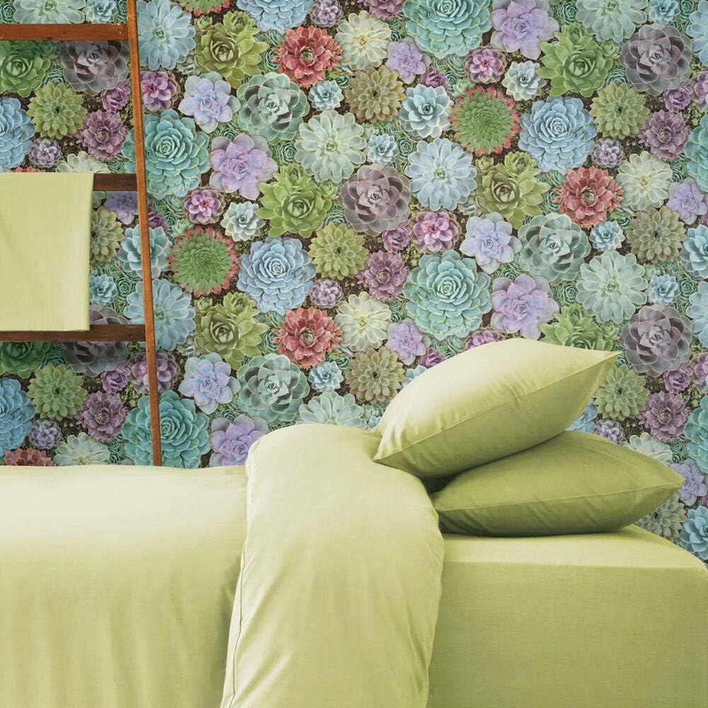 RoomMates RMK11249RL Colorful Succulents Peel and Stick Wallpaper