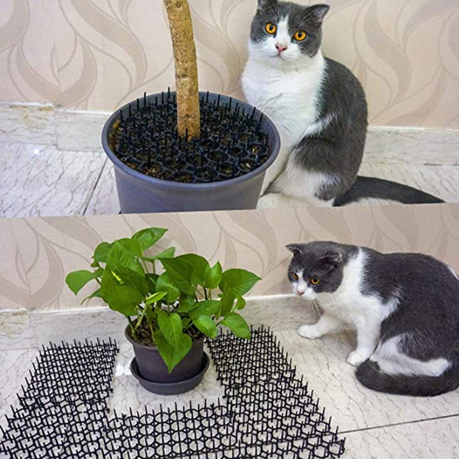 Tapis répulsif pour chats, 2 m, dissuasif de jardin pour chats et chiens, répulsif efficace pour les animaux de compagnie pour une utilisation en extérieur, protection de cour sûre, clôture adaptée