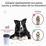 Ver la foto 4