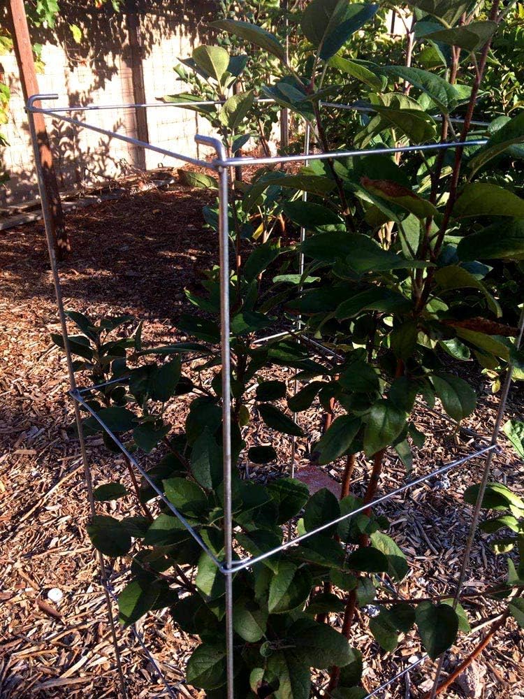 46" Height 12" Width 2PCS Galvanized Square Folding Tomato Cage,Plant Support Stake Tower
