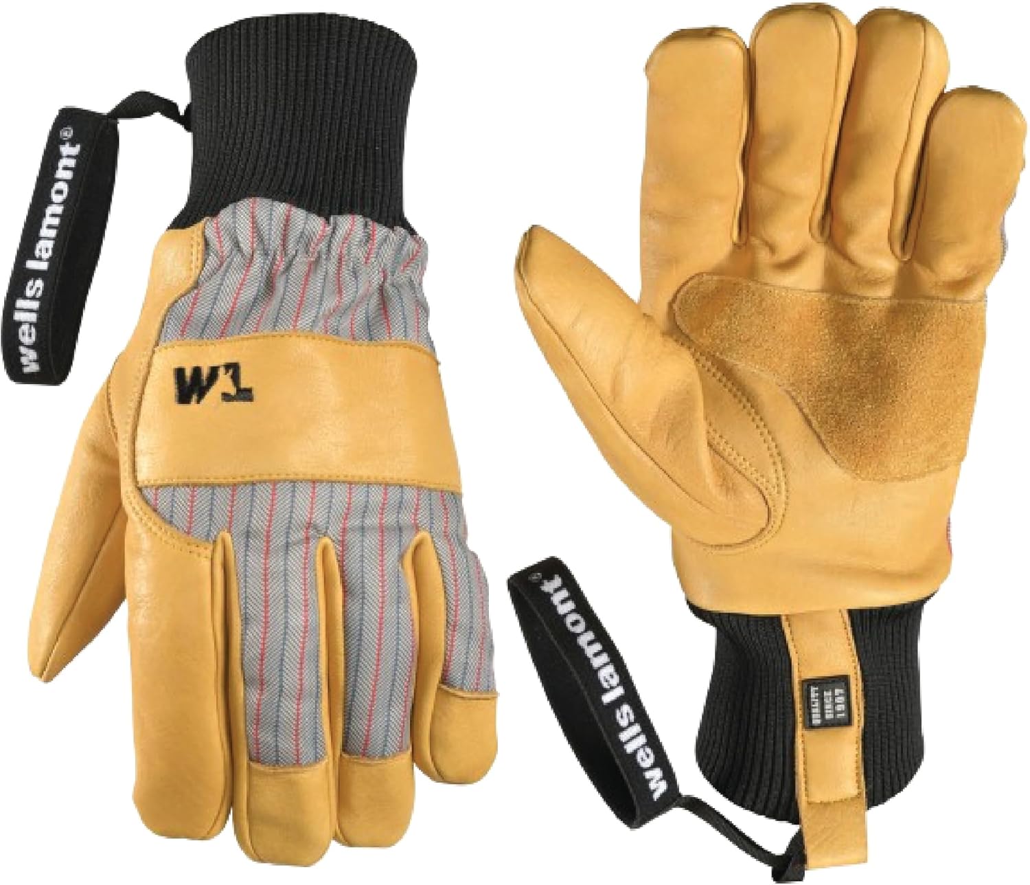 Wells Lamont HydraHyde Winter Gloves for Women & Men, Insulated for Cold Weather, Snow & Ski Gloves & Mittens