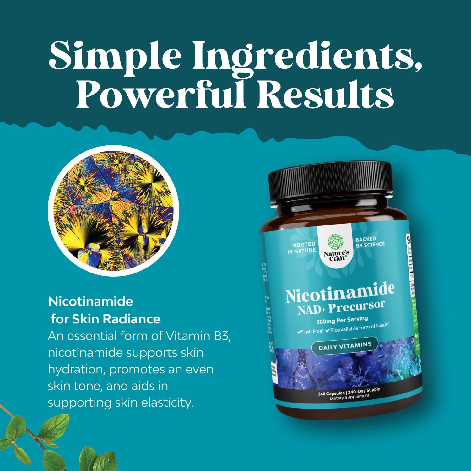 Vitamin B3 Niacinamide 500mg Capsules - Mitochondrial Energy and Potent Skin Supplement - AKA Vitamin B3 Niacin 500mg Flush Free and Nicotinamide 500mg - Flush Free Niacin Supplement - 240 Count - Image 5