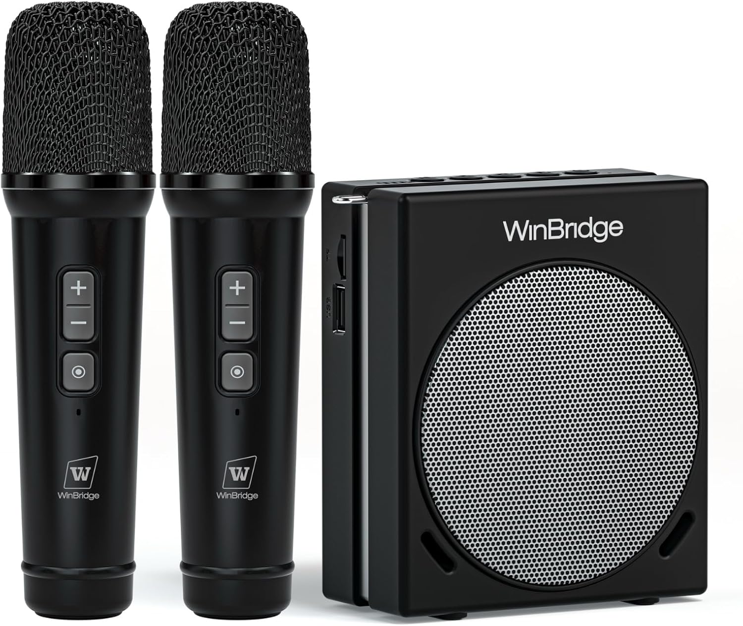 WinBridge Voice Amplifier for Teachers,...