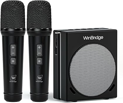 WinBridge Voice Amplifier for Teachers, Portable PA System for Public Speaking, Bluetooth Speaker with 2 Microphones for Classroom, Karaoke, Event Hosts, 30W DSP, BT/USB/TF/AUX - Black, S90