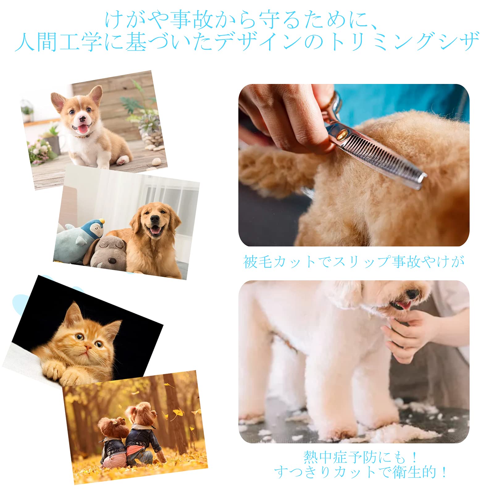 Amazon.co.jp: funshop トリミングシザー ハサミ ペット用 丸い先端