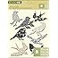 K&Company Studio 112 Chipboard Stickers, Birds