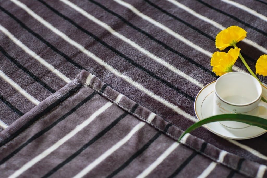 Caitlin White Throw Blanket for Couch/Sofa/Bed, Luxury Super Soft Microplush Velvet, 50"x60", Grey Stripe