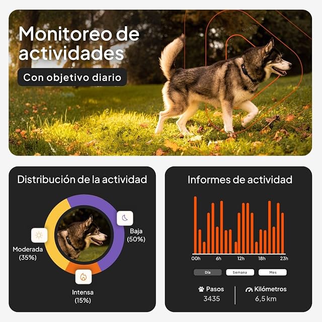 Foto 5 de 8 de Weenect Perro XT - Localizador GPS para Perros Sin Collar