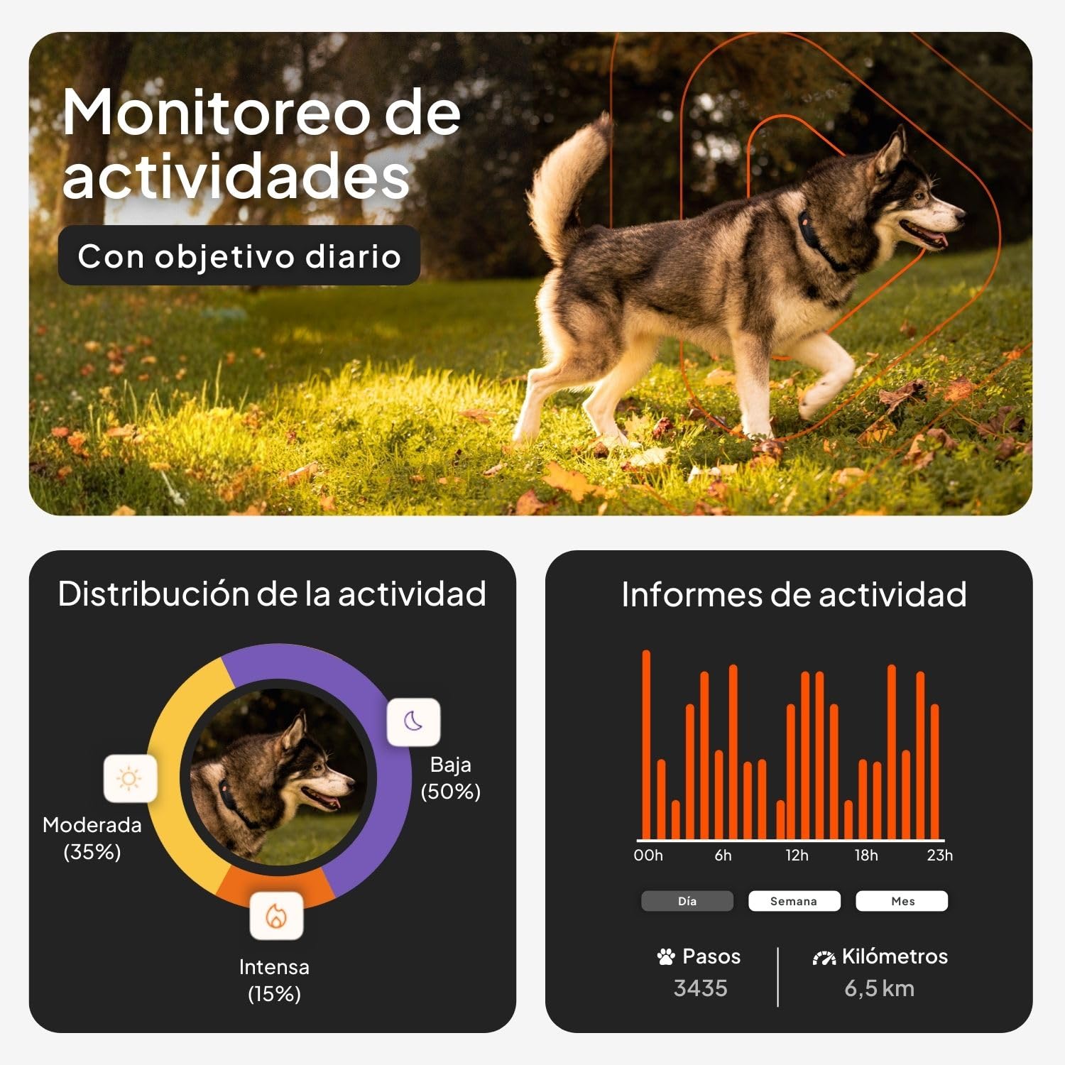 Weenect Perro XT - Localizador GPS para Perros Sin Collar | Resistente al Agua | Antena XL | Alcance Ilimitado | Garantía de por Vida | Suscripción Requerida