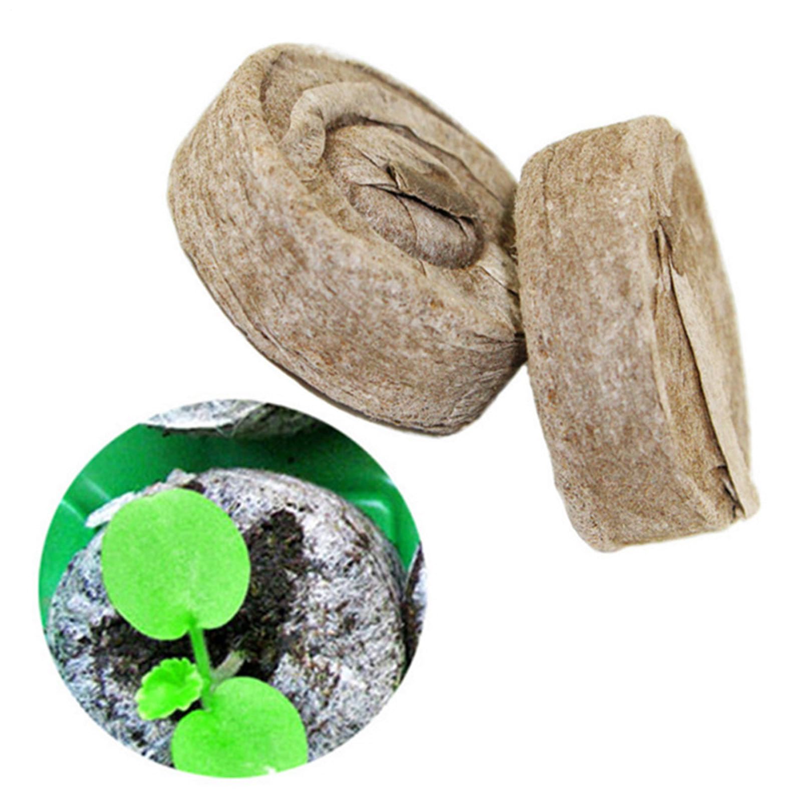 Cápsulas Germinadoras Para Plantas | 10 Unidades De Bloques De Nutrientes Comprimidos Para Sustrato - Sustrato Comprimido Para Siembra Con Bloqueador De Tierra Accesorios De Jardinería Para Macetas Ex