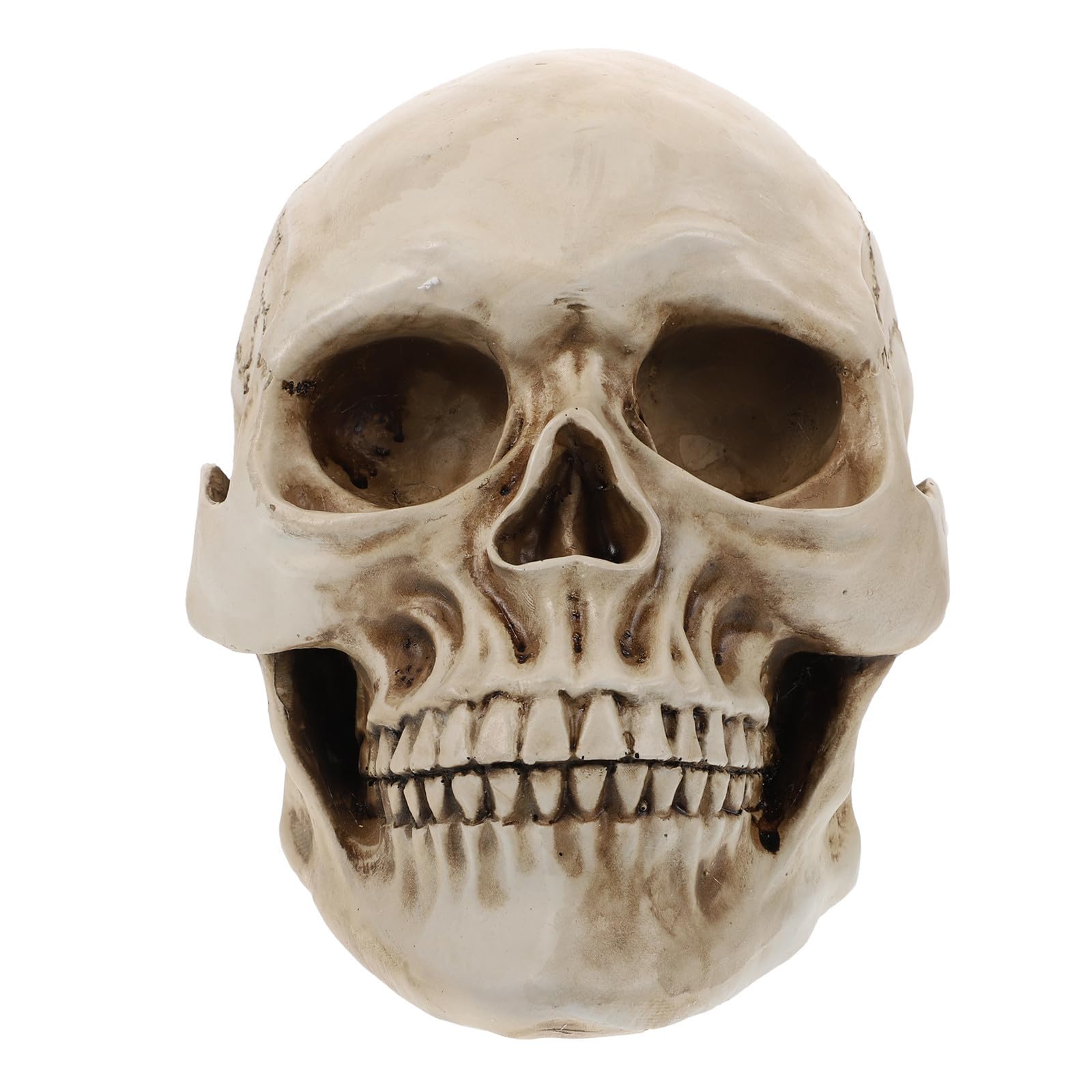 Abaodam 2 Pezzi Decorazione Scheletro Halloween in Resina Bianca 1:1 Teschio Realistico per Atmosfera Spaventosa e Arredamento Delicato da Ufficio o Souvenir