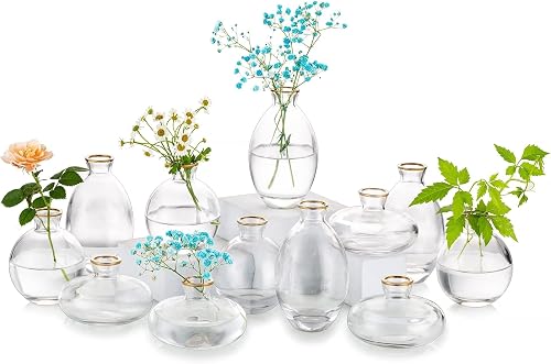 Glasseam Glass Bud Vase for Centerpieces: 12Pcs Clear Mini Small Vases Bulk | For Single Flowers, Gold Rim, Handmade, Modern Wedding Table Decor, Party, Event, Home, Office, Cute Short Bottle, Aesthetic
