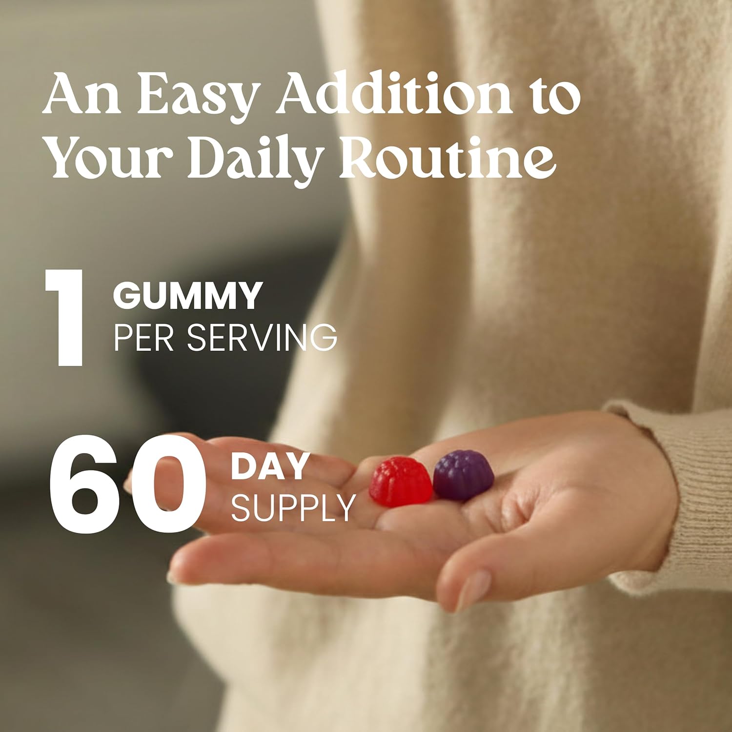 VITA GLOBE Prebiotic Fiber Gummies – with FOS Inulin, Sugar-Free Daily Supplement | Supports Digestive Health, Gut Balance & Regularity | Vegan, Non-GMO Chewable Fiber Gummies – 60 Count (Pack of 1) - Image 4