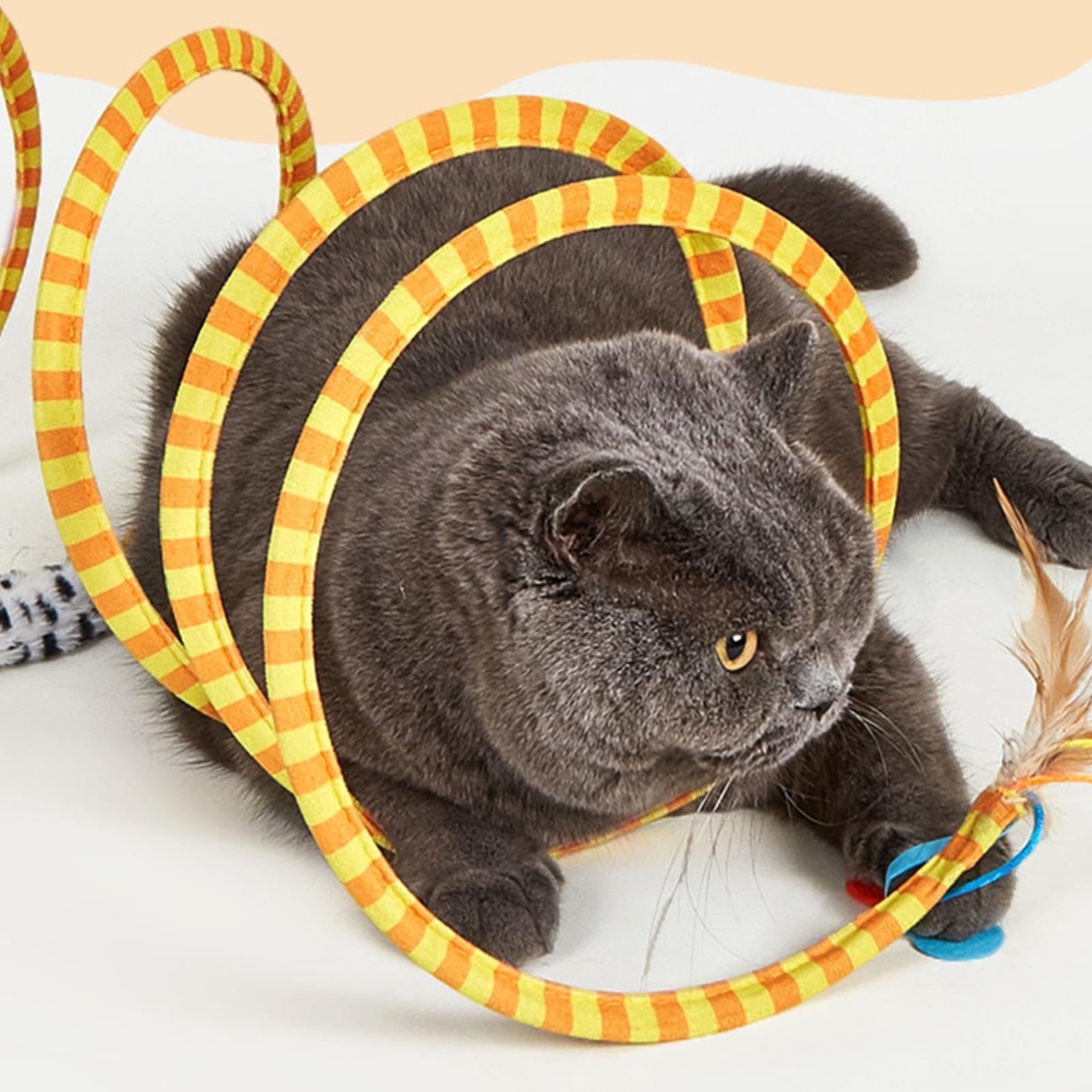 View 6