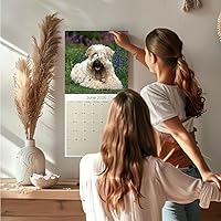 Vista 957 de Razas de Perros 2017