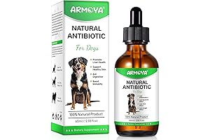Natural Antibiotics for Dogs: Heal Your Pet's Infection Naturally!