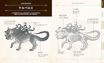動物・幻獣デザイン、解剖学書5冊セット 美しい幻獣生態骨格図鑑 | 緑川 美帆, 江口 仁詞 |本 | 通販