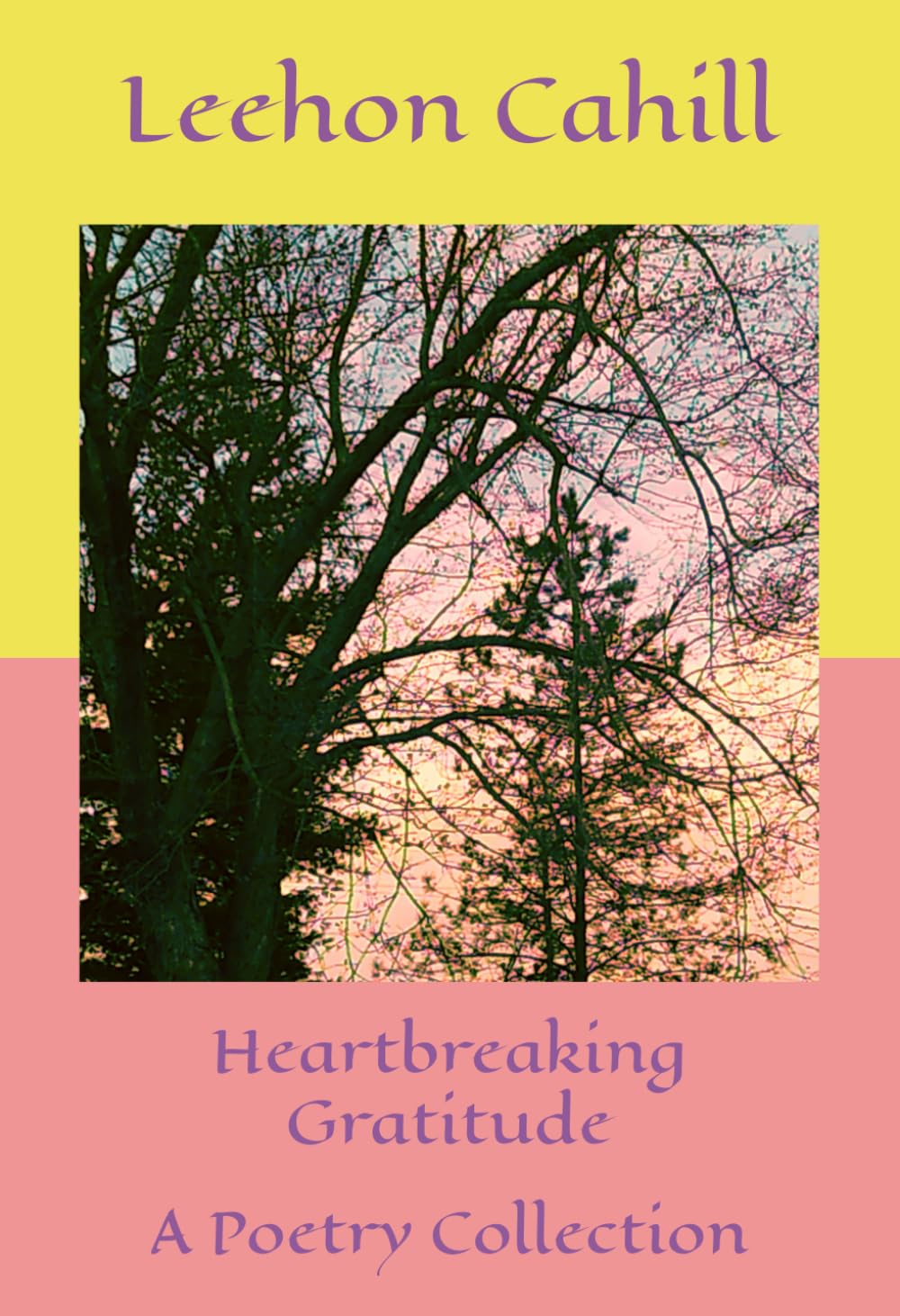 Heartbreaking Gratitude: A Poetry Collection