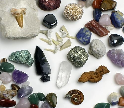 Miniatura 3 de Roca, minerales y fósiles, colección kit de actividades con hojas educativas, amonita, diente de tiburón en matriz, fosilizados, 2geodas y flechas,