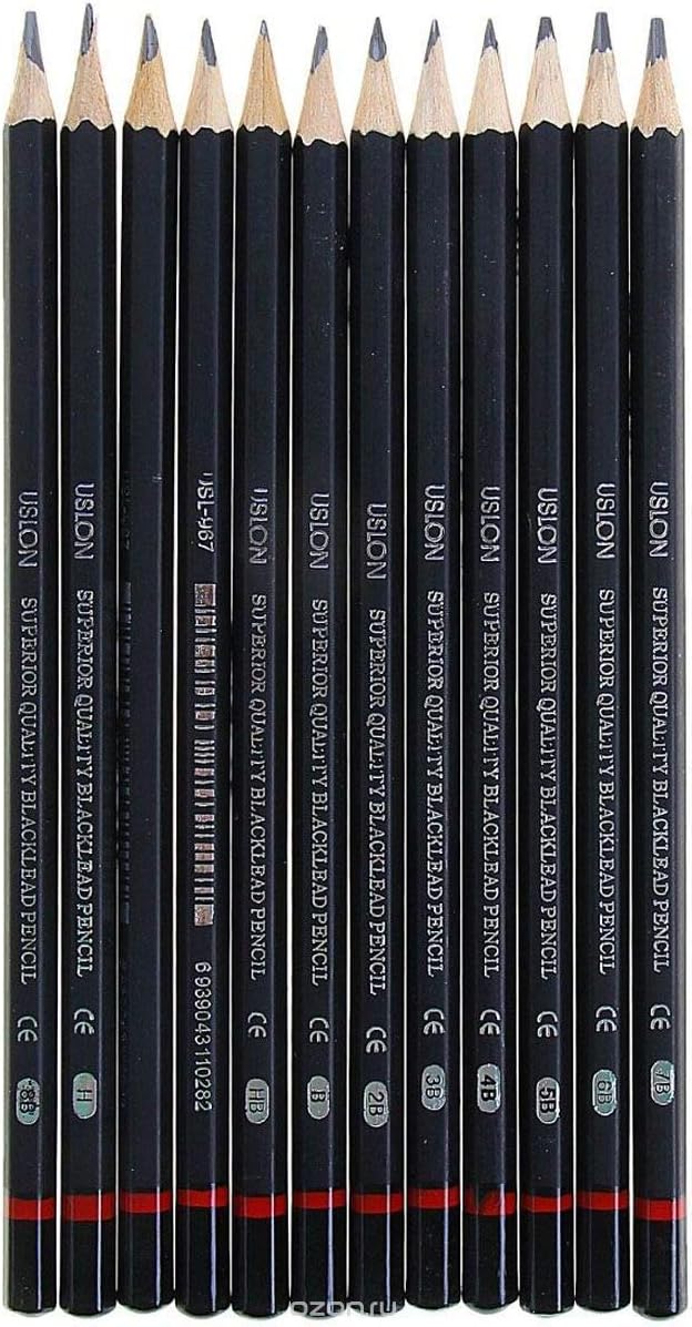 12 Set Professional Drawing Art Sketch Graphite Pencils, 2H, H, F, Hb, B, 2B, 3B, 4B, 5B, 6B, 7B, 8B, Black (Pack Of 4 (48 Pencils))