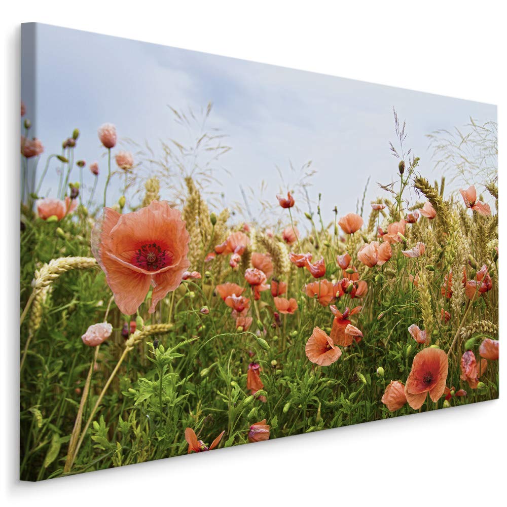 Muralo Wandbild Blumen, Mohnblumen, Wiese, Natur, Landschaft - 90x60 cm | Leinwandbild, Modernes Design, hochauflösender Druck - ideal für Schlafzimmer und Wohnzimmer, Frühlingsflair das ganze Jahr