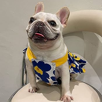 ●犬服●ハンドメイド 胴58 NO.658 フレブル ○犬服○ハンドメイド 胴58 NO.658 フレブル