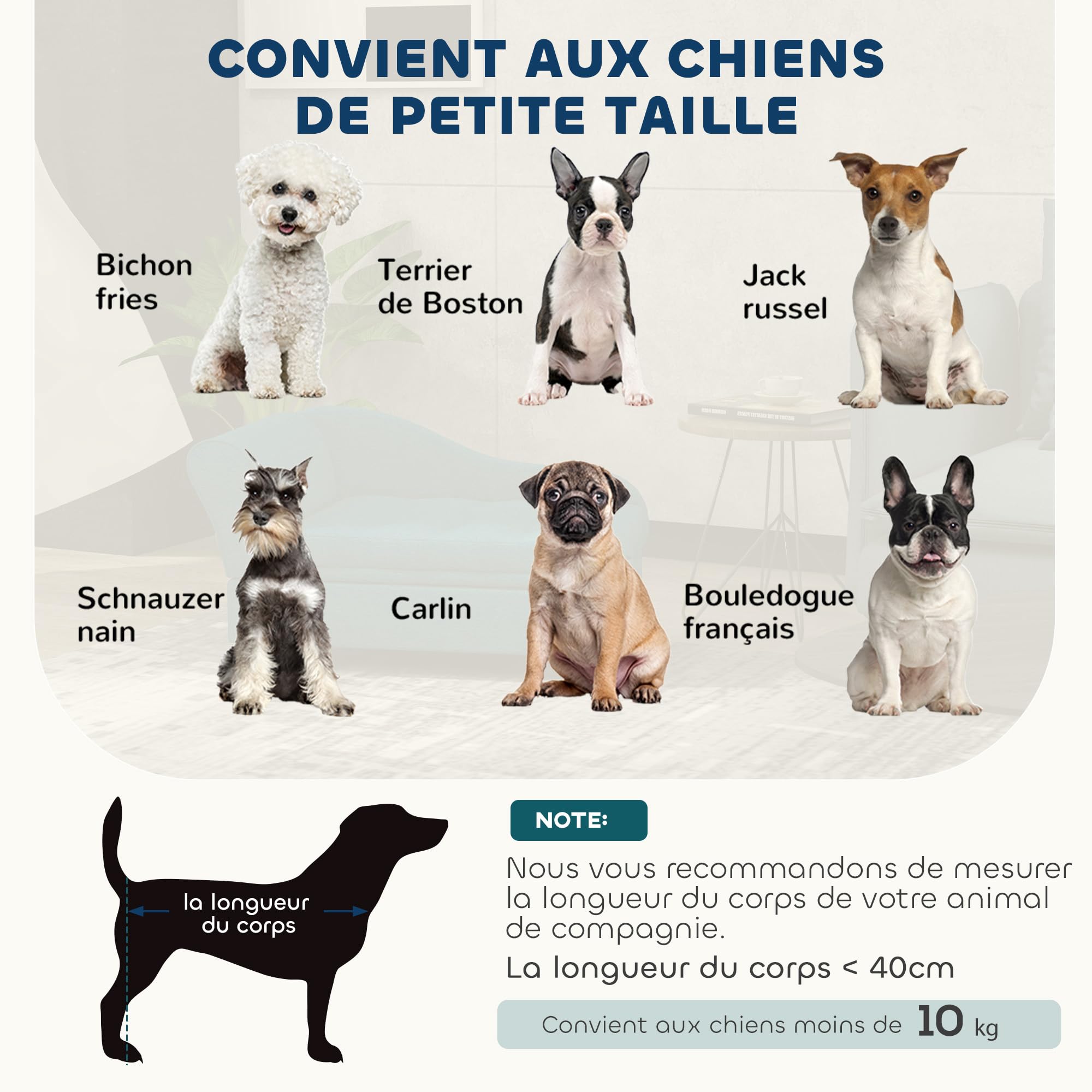 PawHut Canapé Chien Chat sur Pied avec Coffre de Rangement Style Moderne Coussin d'assise Amovible Grand Confort 76 x 45 x 43 cm Vert