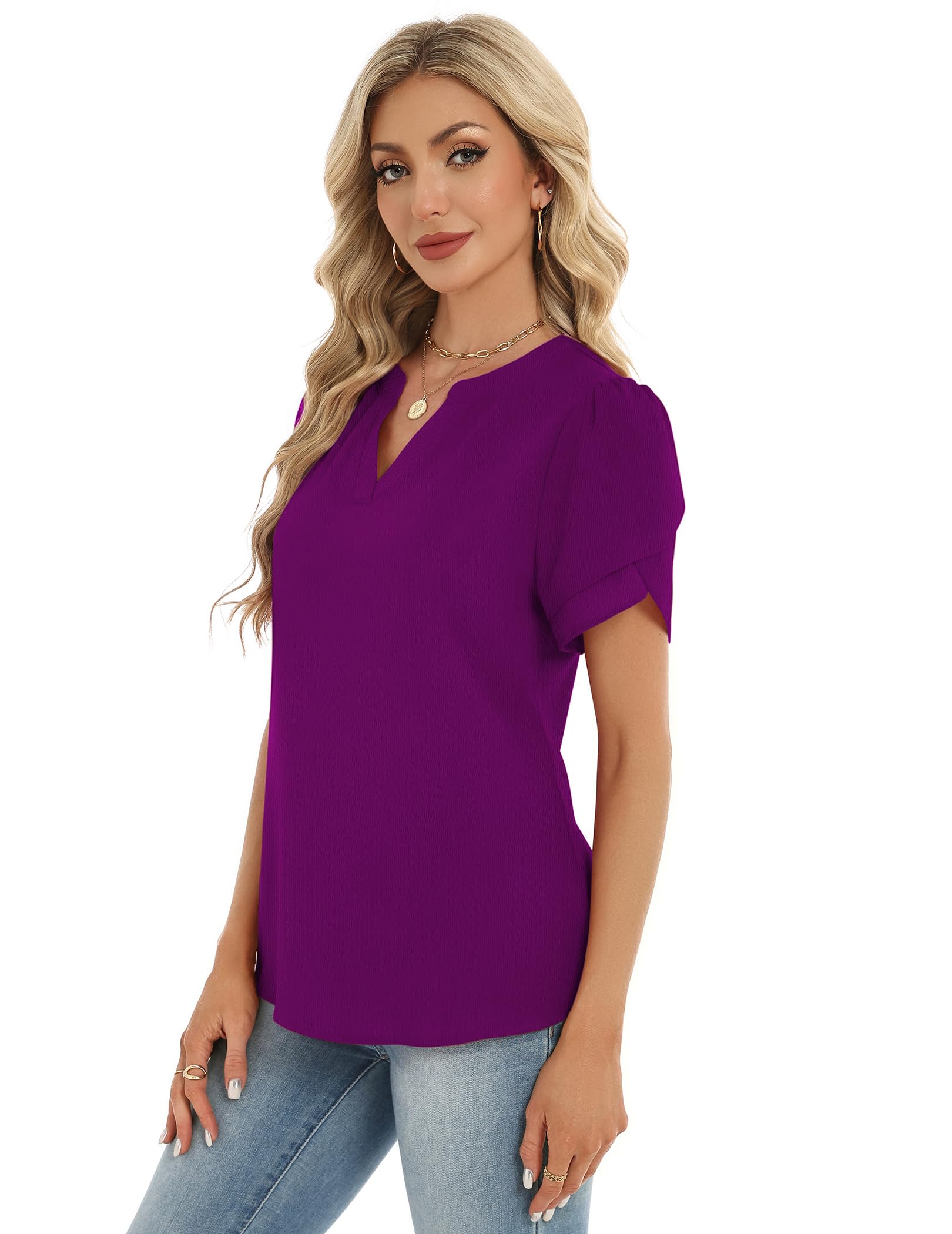 Zeagoo Blusa elegante de verano para mujer, de manga corta, de gasa, cuello en V, túnica, de malla, de doble capa