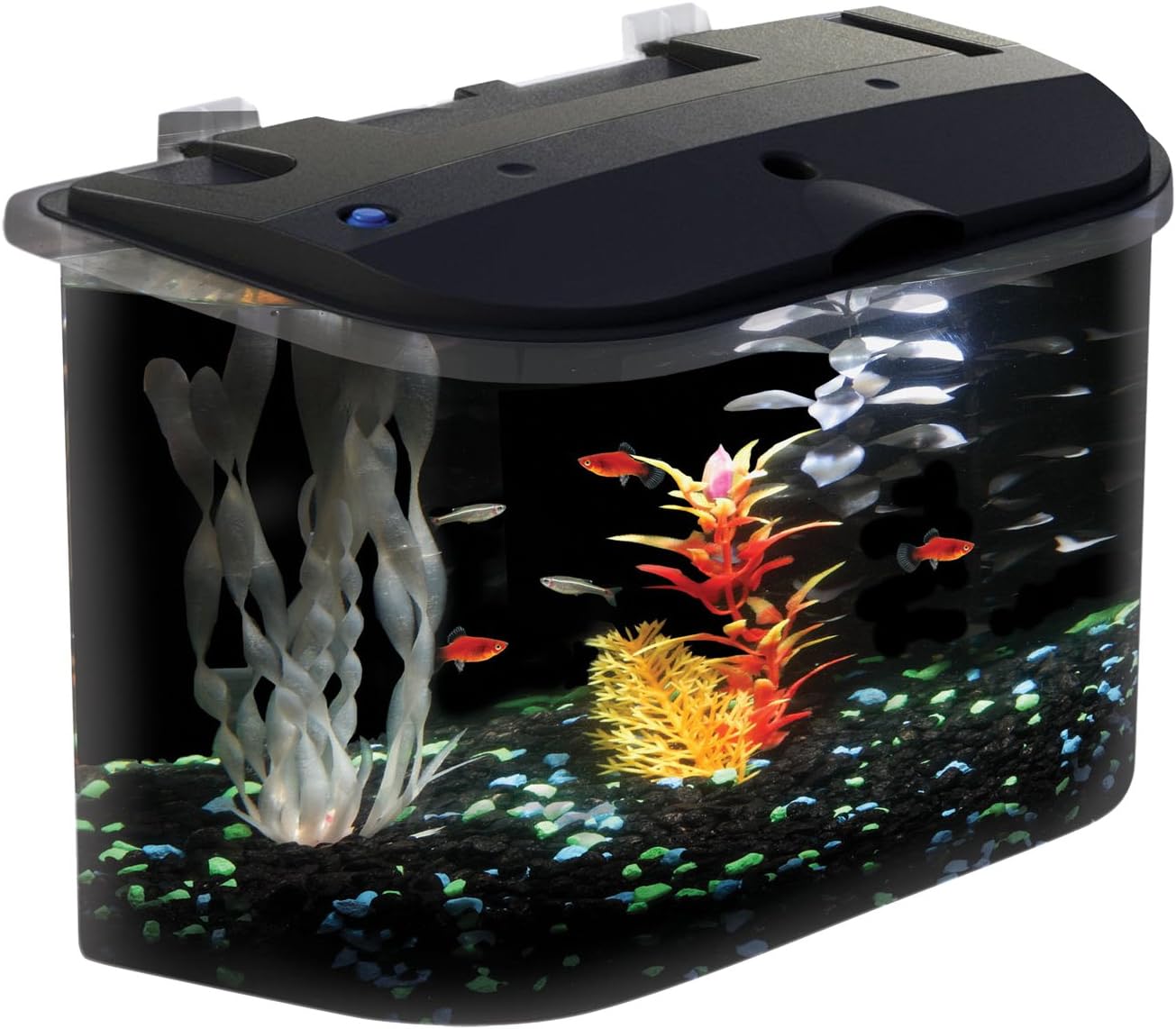 PanaView 5-Gallon Fish Tank with LED Lighting and Power Filter