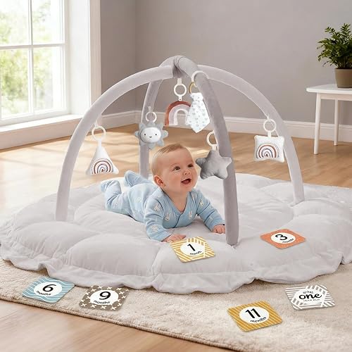 5-in-1 Thick & Plush Baby Play Gym, Baby Play Mats for Floor, Tummy Time Mat with 6 Toys, Convertible Stage-Based Developmental from Babies to Toddlers, Ball Pit, Pet Cushion Cloudico, Grey