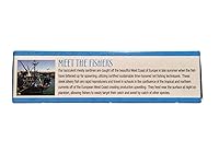 Vista 4 de Henry & Lisa's Natural Seafood Sardinas silvestres en agua de manantial, 4.25 onzas (paquete de 12)