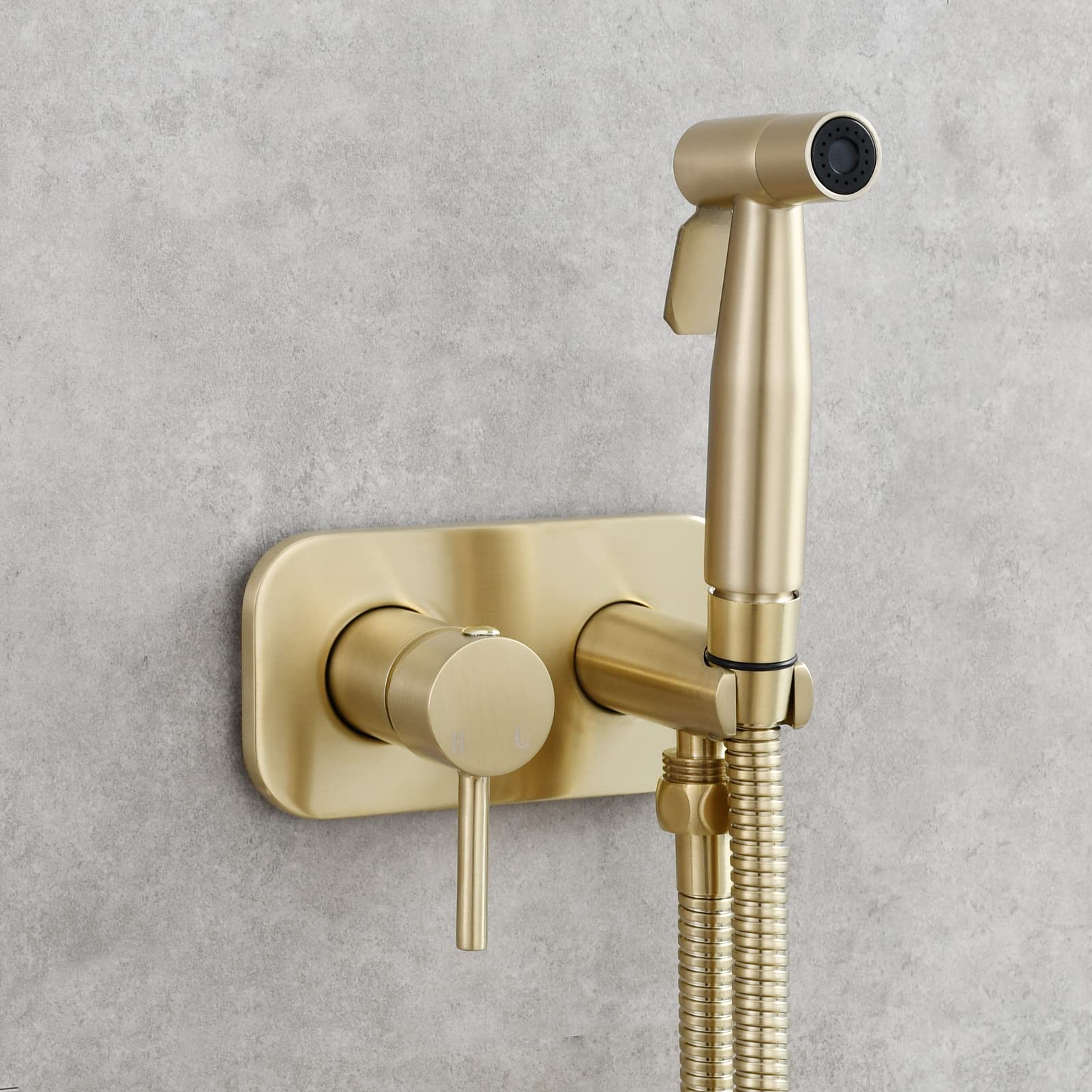 Tecmolog WS024J2F2 - Set doccetta per bidet, in acciaio inox, da incasso, per acqua fredda e calda, con tubo doccia da 1,5 m, oro spazzolato