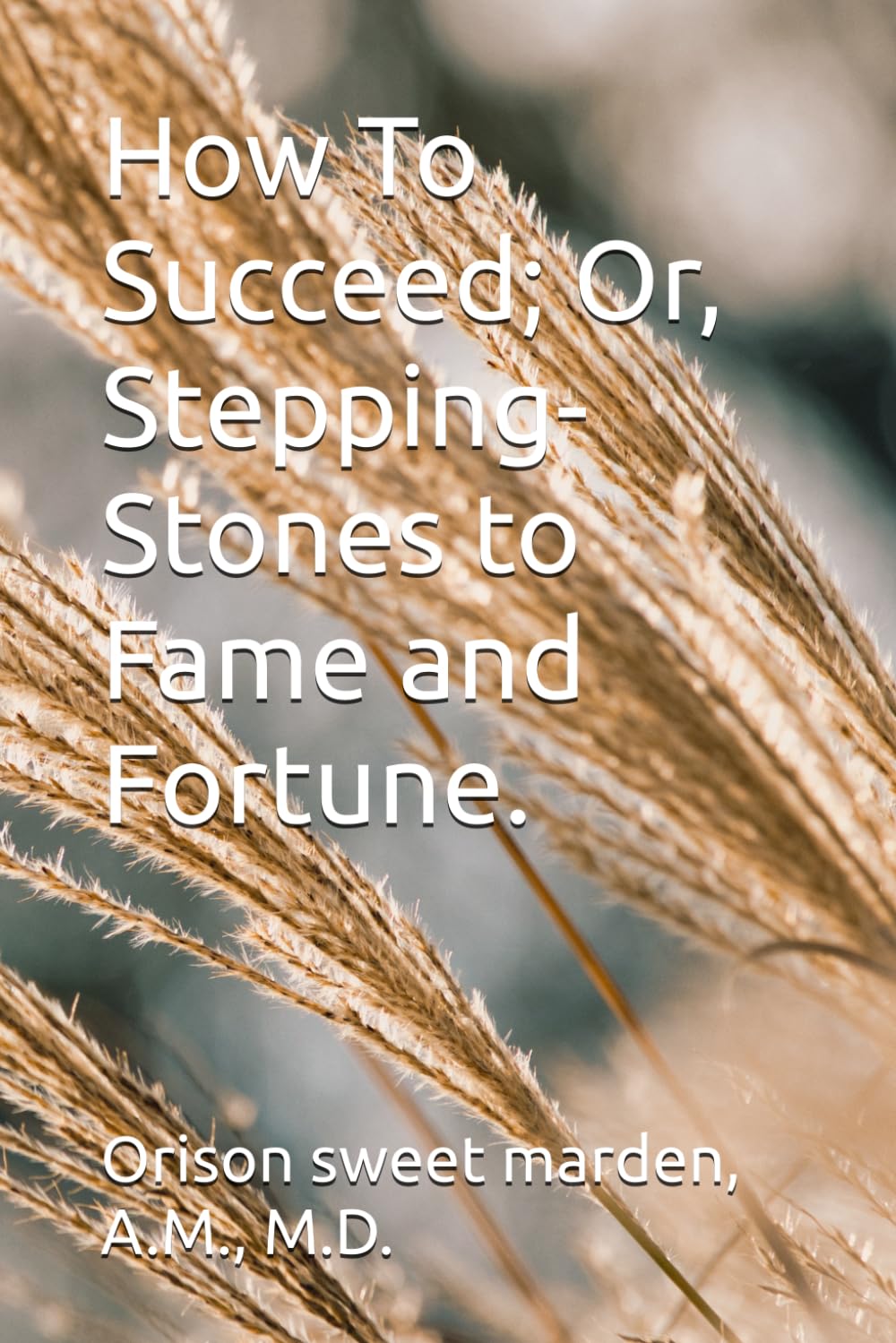 How To Succeed; Or, Stepping-Stones to Fame and Fortune.
