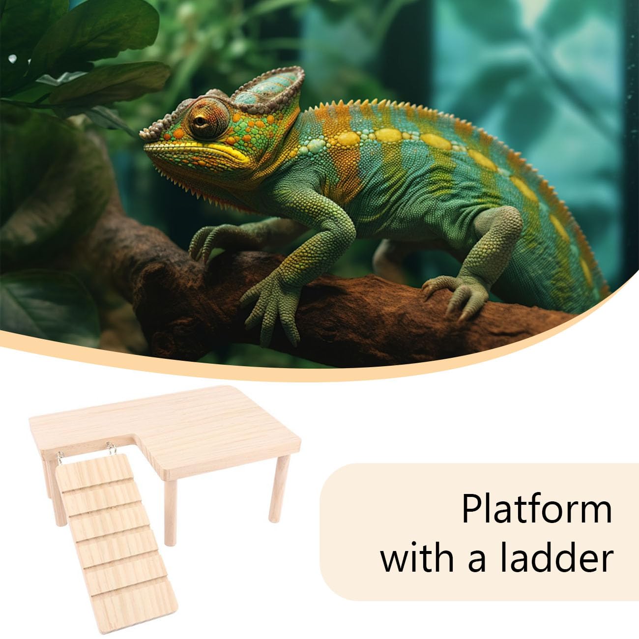 Escondite de Madera para Reptiles con rampa de Escalada, dragón Barbudo, Cueva, acuarios y terrarios, Accesorios para Dragones barbudos, gecos, lagartos, Tortugas, hámsteres (Grande)