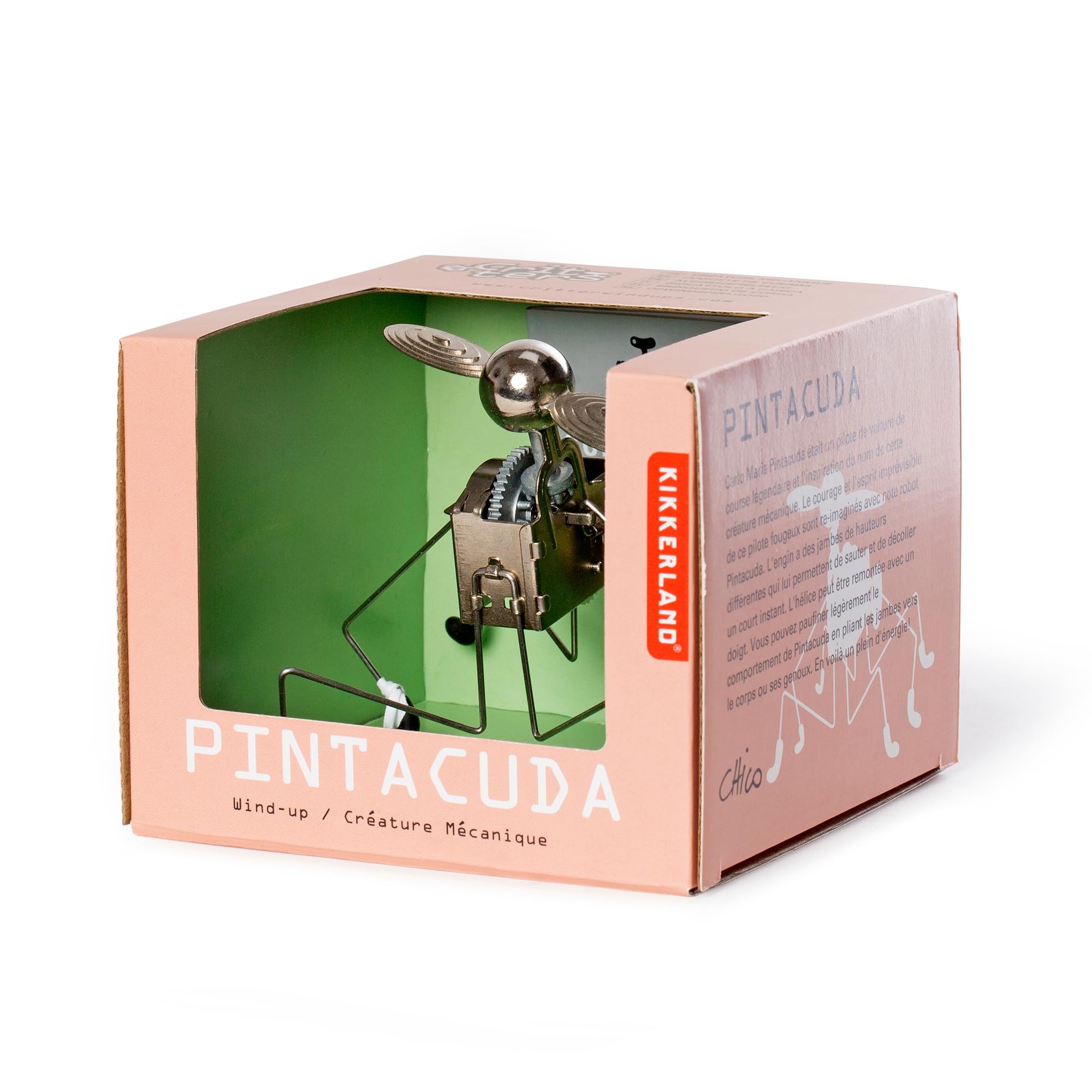 Amazon.com: Pintacuda Windup (Colors May Vary) : Toys & Games