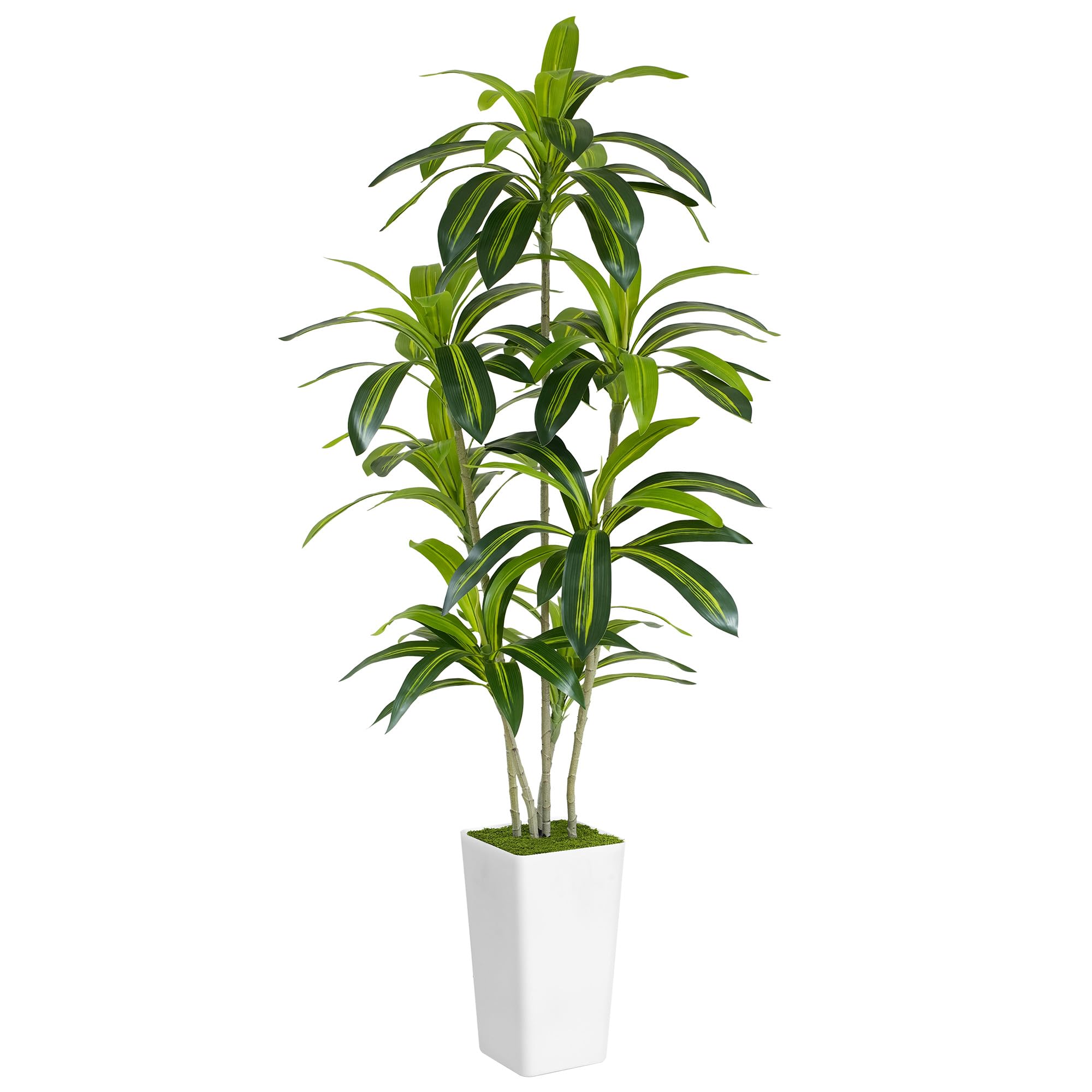 Artificial Dracaena Tree 6ft Tall - Green Silk Realistic Fake Plants for Office Home Living Room Bedroom Decor