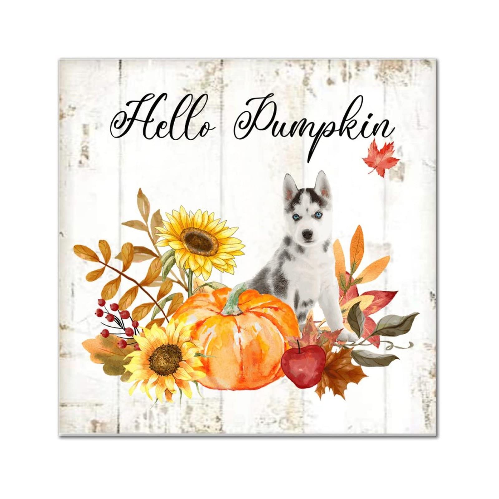 Décoration Hello Pumpkin en bois Dog Spitz japonais 30cm