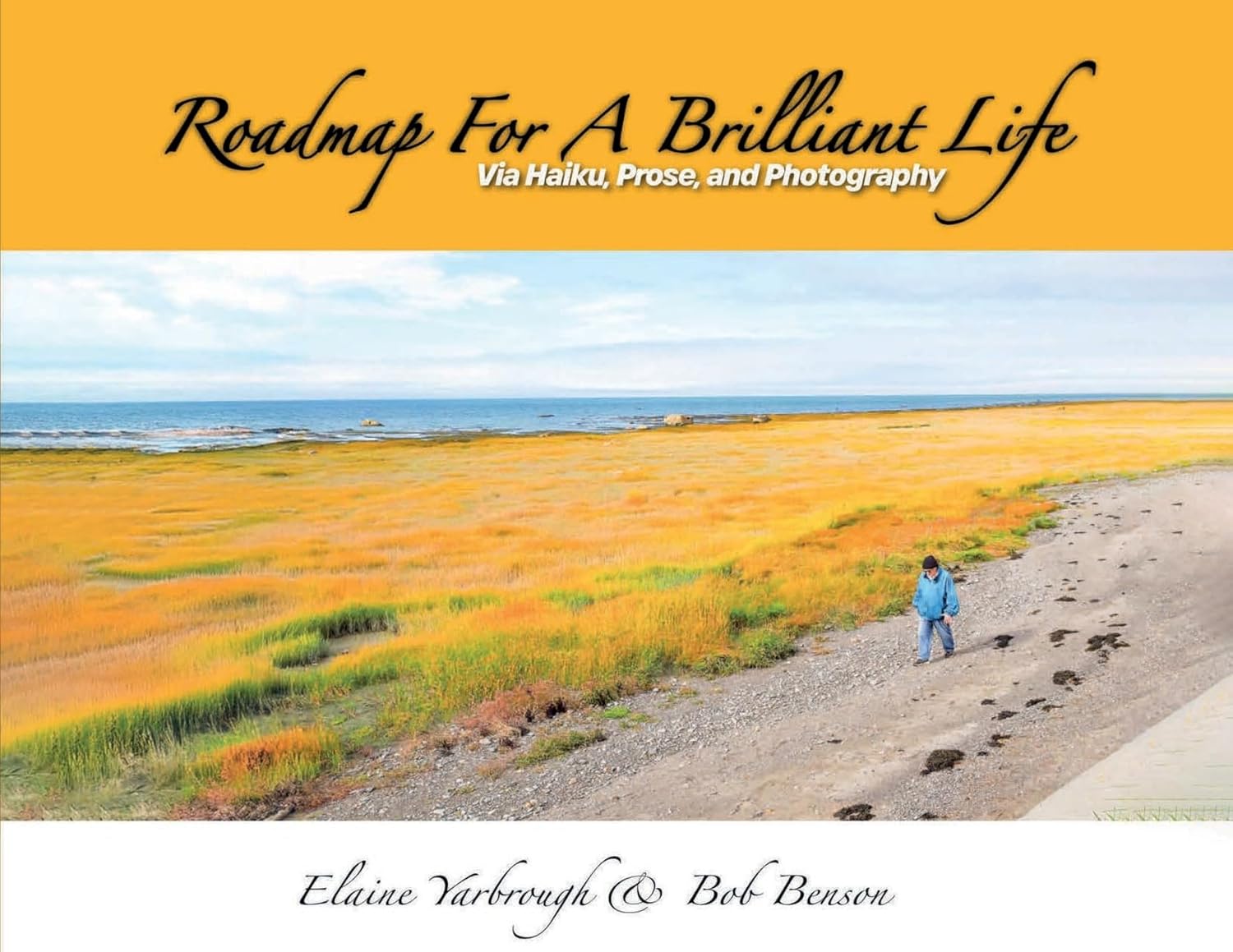 Roadmap for a Brilliant Life: Via Haiku, Prose, and Photography      Paperback – February 19, 2026