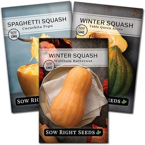 Sow Right Seeds - Colección de semillas de calabaza de invierno para plantar - Mesa de espaguetis, Waltham Butternut y Bellota Semillas de calabaza