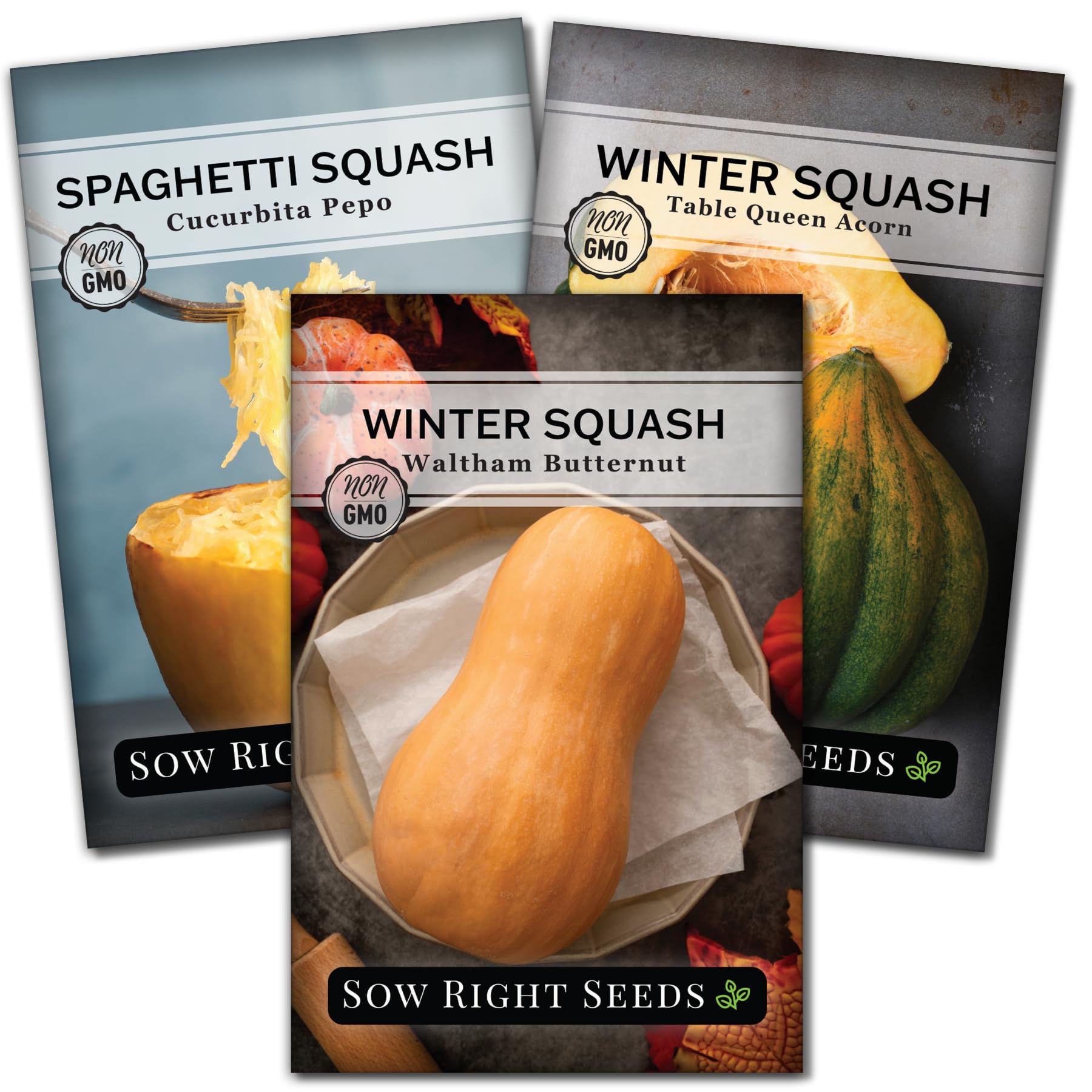 Sow Right Seeds - Winter Squash Seed Collection for Planting - Spaghetti, Waltham Butternut and Acorn Table Queen Squash Seeds, Non-GMO Heirloom Seeds to Plant a Home Vegetable Garden
