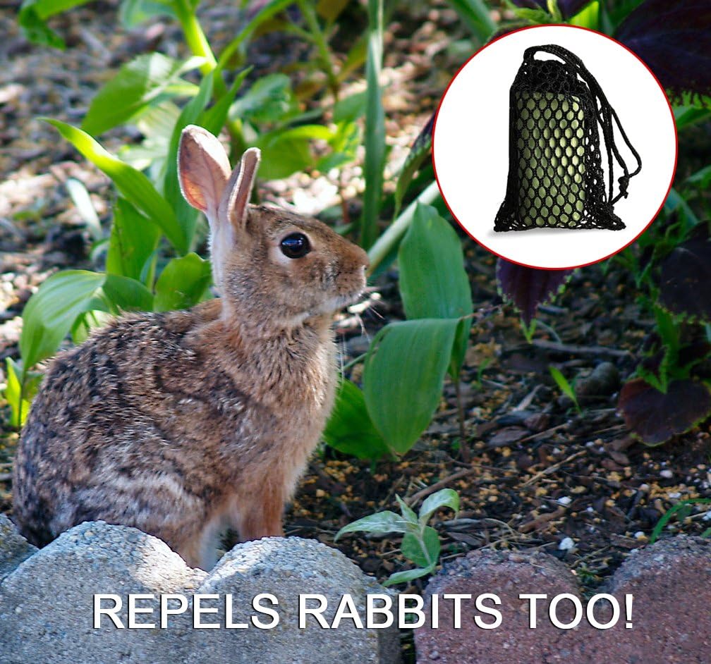 Buy Deer Repel Deer Repellent Plants Pouches Stop Deer Rabbits Eating