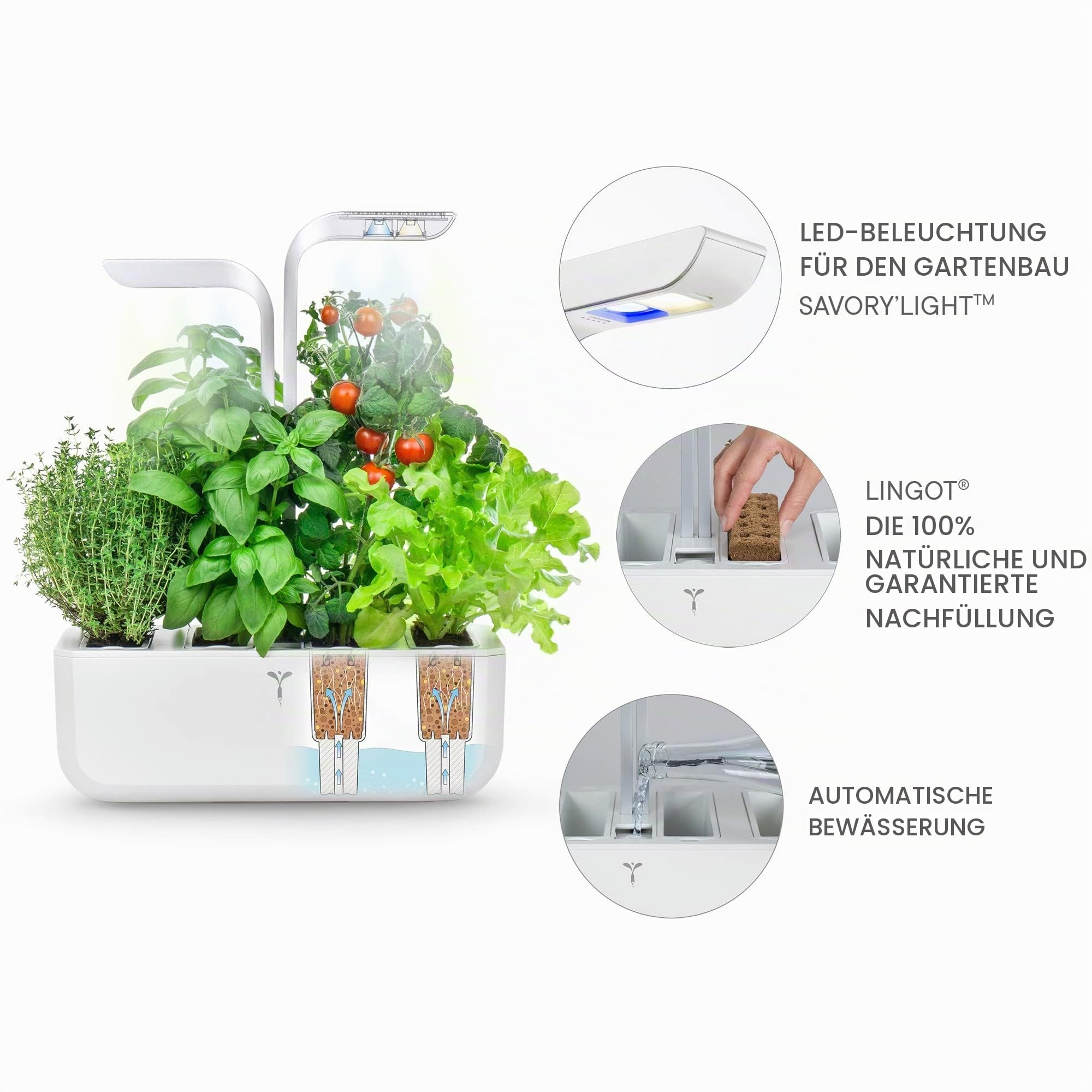 Véritable® Classic (Weiß) - Indoor-Garten Made in France - Intelligenter autonomer Garten mit 4 Lingots®