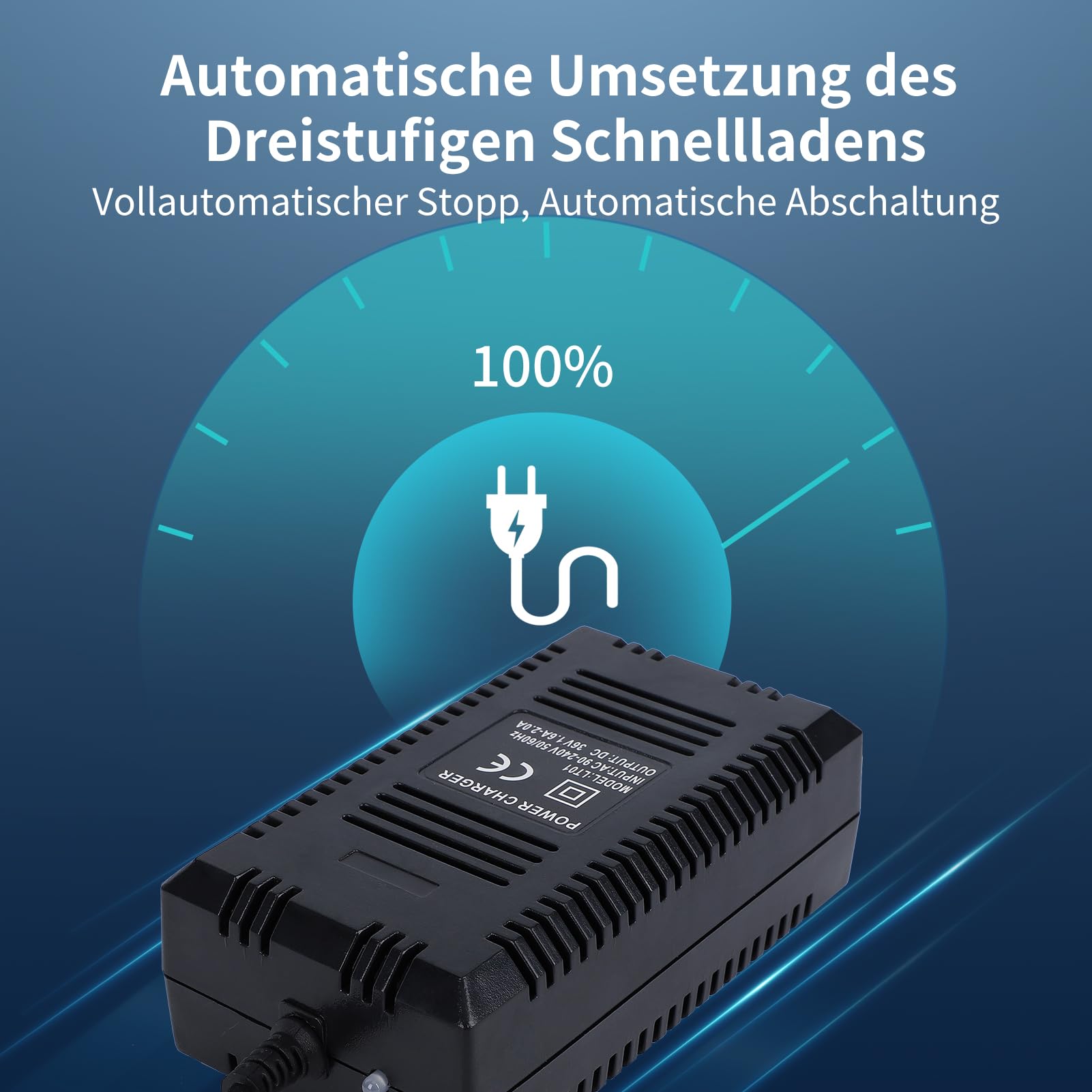 VBESTLIFE 36V intelligentes Automatisches Batterieladegerät,Bleibatterie Ladegerät Digitalanzeige für elektrisches Fahrrad/Automobil.(EU)