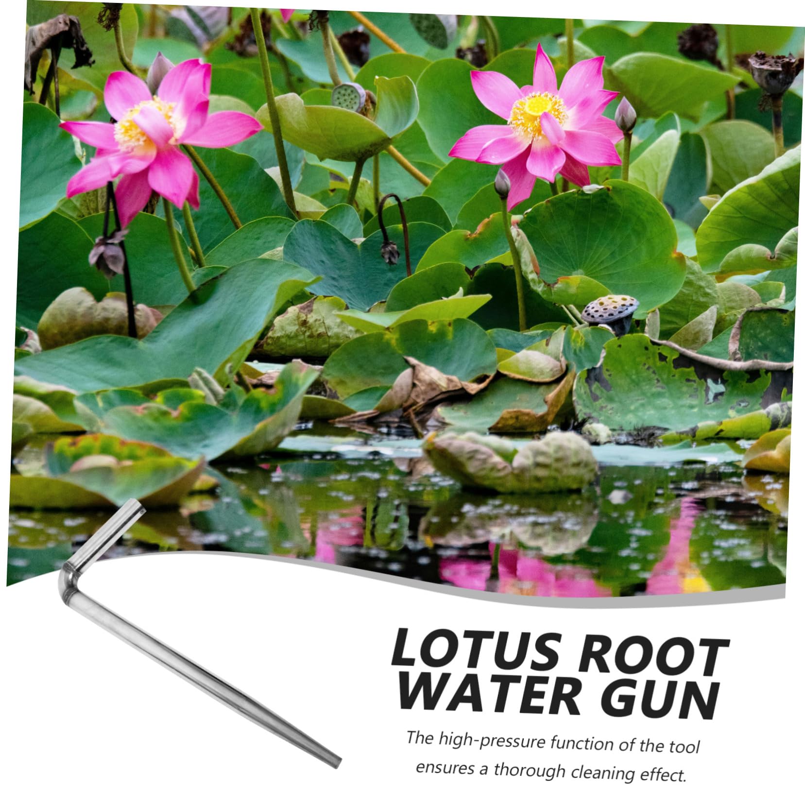 HANABASS Tête D’arrosage pour Pulvérisateur D’eau Tête de Remplacement en Acier Inoxydable Haute Pression pour Récolte de Lotus