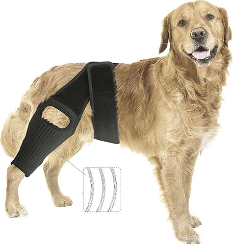 Rodillera para perro ACL, envoltura de apoyo para piernas caninas, color negro (M)